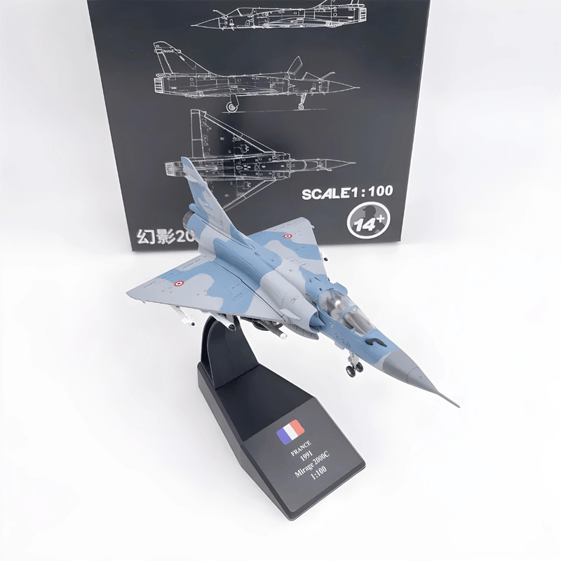 Dassault Mirage 2000 - Scale 1:100