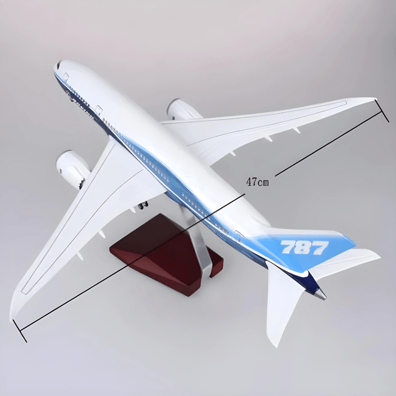 B787 Dreamliner Prototype - 1/130 Scale - 43cm - Scale Aircraft