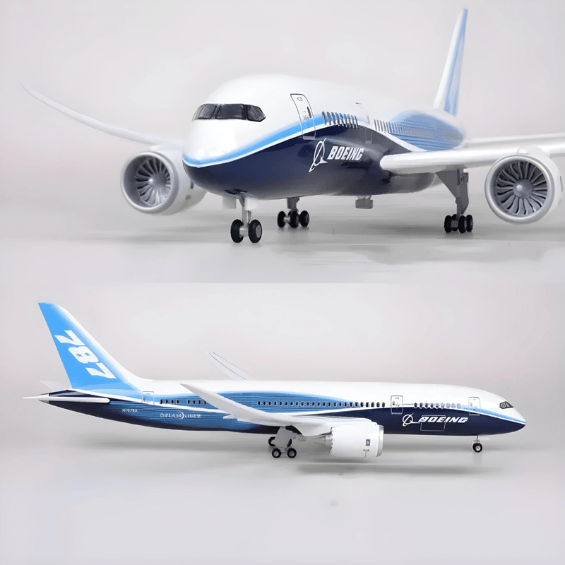 B787 Dreamliner Prototype - 1/130 Scale - 43cm - Scale Aircraft